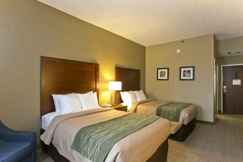 Comfort Inn Aikens Center Martinsburg Eksteriør billede